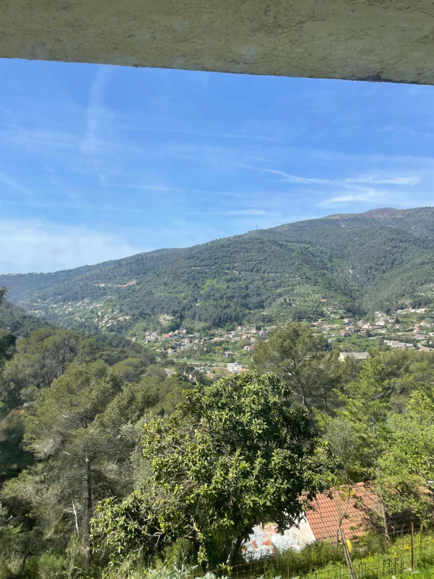 Charme Provencal Pres De Nice Blausasc Exterior photo